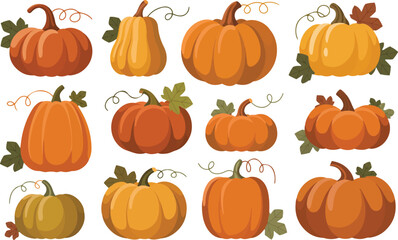 Various shapes of orange pumpkins and squashes collection for halloween and thanksgiving harvest pixel art vector illustration isolated set