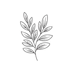 vector illustration of a leaf