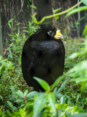 台北市立動物園
