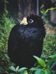 台北市立動物園