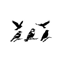 Obraz premium Bird silhouettes