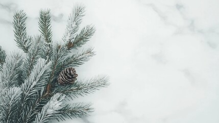 Frosted pine branch and cone on marble surface with space for text
