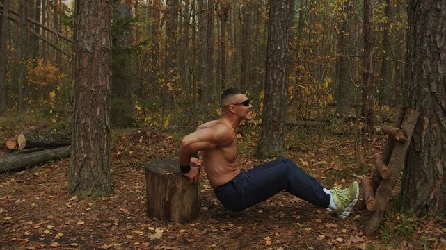 Young man wearing sunglasses training in an autumn forest and does reverse push-ups leaning on tree stump to strengthen his triceps and back. High intensity interval training Tabata. HIIT