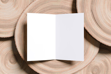 Bifold Brochure Blank