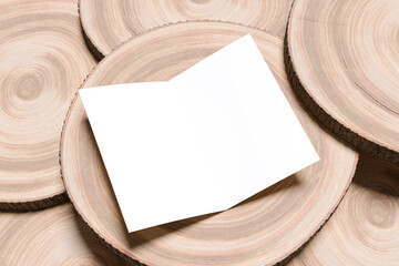 Bifold Brochure Blank