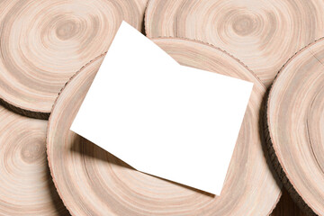 Bifold Brochure Blank