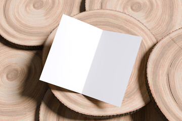 Bifold Brochure Blank