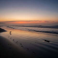 A serene coastal vista at twilight. A solitary bird stands on wet sand; its footprints lead towards the water reflecting the colorful sky