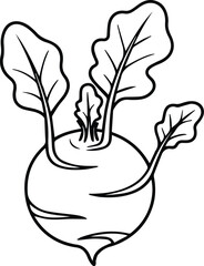 Minimalist hand drawn kohlrabi outline icon vector