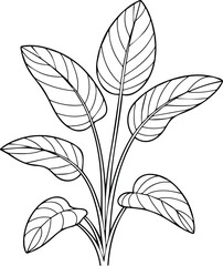 Minimalist hand drawn tropical plant outline illustration vector