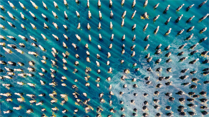 aerial view of old pier pilings in coastal maine