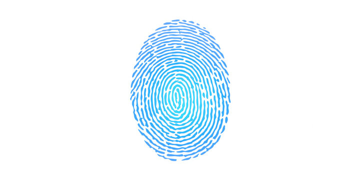 Blue Fingerprint: A close-up shot of a single blue fingerprint, symbolizing identity, security, and unique individual characteristics.