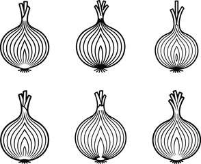 Set of Minimalist hand drawn half onion outline icon vector