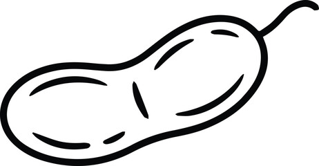 Minimalist hand drawn soybean outline icon vector