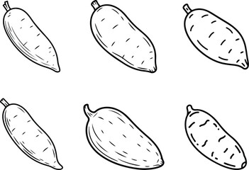 Set of Minimalist hand drawn yam root outline icon vector