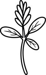 Minimalist hand drawn alfalfa sprout outline icon vector