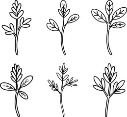 Set of Minimalist hand drawn alfalfa sprout outline icon vector