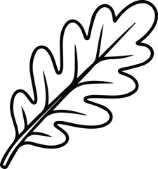 Minimalist hand drawn arugula leaf outline icon vector