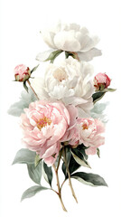 Obraz premium Beautiful peonies in soft colors arranged with delicate leaves against a simple background