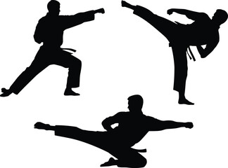 Martial arts silhouettes of male fighters performing powerful kicks and punches, dynamic karate action poses, combat training stances for illustration and design