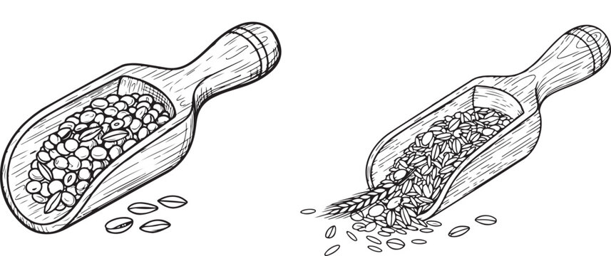 Wooden scoop filled with lentils or grains in a vintage woodcut style, Hand-Drawn Wooden Scoop with Grains &ndash; Black and White Illustration
