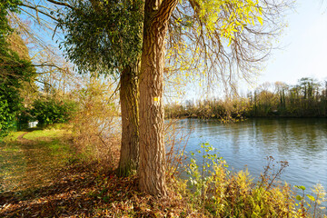 Oise river bank in autumn season. Pontoise village
