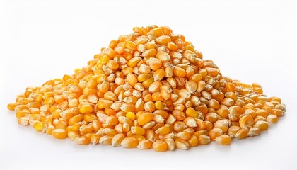 Pile Of Dry Corn Seeds On White Background