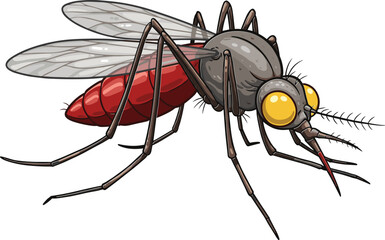 Detailed cartoon vector illustration of mosquito insect with red abdomen, large yellow eyes, transparent wings, long legs, antennae, and proboscis