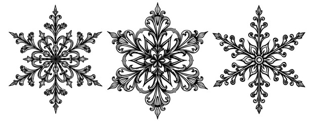 Decorative snowflake set with intricate symmetrical shapes Concept of winter design and Christmas pattern - holiday - seasonal