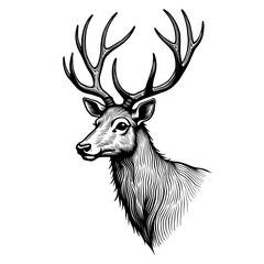 Deer head with antlers in detailed realistic style Concept of Christmas animal and winter nature - forest - holiday