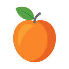 Apricot fruit simple flat design bright fresh produce concept minimal style Vector illustration