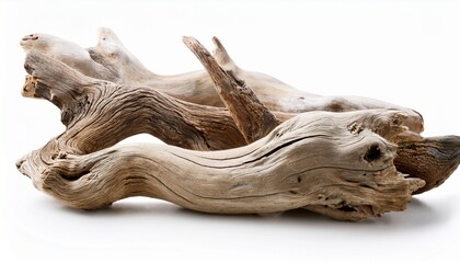 Sea Driftwood Branches Isolated On White Background Bleached Dry Aged Drift Wood