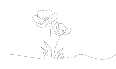A simple continuous line art illustration of two blooming poppy flowers with stems and leaves.