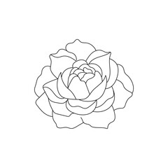 Elegant hand drawn outline of a blooming peony flower