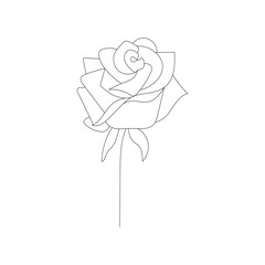Elegant single line drawing of a rose flower