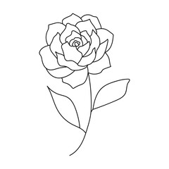 Elegant single line drawing of a blooming rose flower