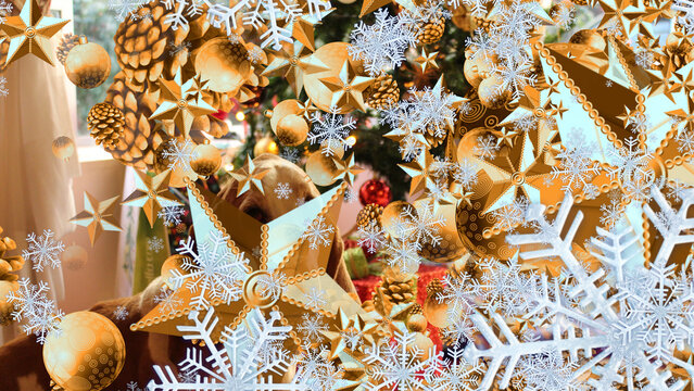 Christmas Transitions