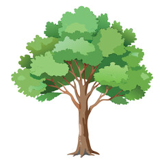Beautiful green tree illustration with layered foliage and a textured trunk, in a clean, watercolor-style design.
