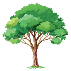 Beautiful green tree illustration with layered foliage and a textured trunk, in a clean, watercolor-style design.