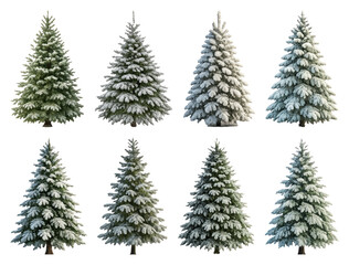 Obraz premium PNG Snow-covered evergreen trees collection, element set on transparent background
