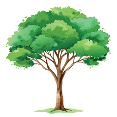 Beautiful green tree illustration with layered foliage and a textured trunk, in a clean, watercolor-style design.