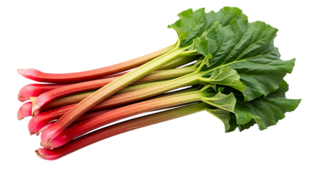Fresh rhubarb stalks with green leaves isolated on transparent background