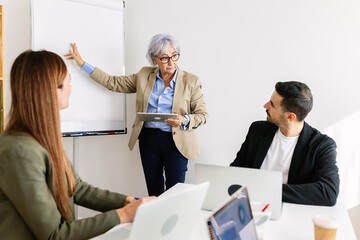 Senior businesswoman using whiteboard and tablet, presenting new project to her team in modern office. Business concept