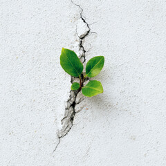 Bright green sprout defies concrete, showcasing nature's resilience in a minimalist setting