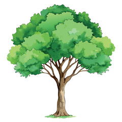 Beautiful green tree illustration with layered foliage and a textured trunk, in a clean, watercolor-style design.