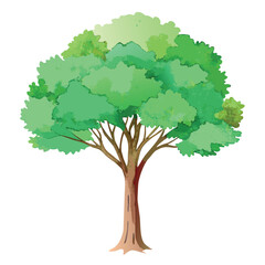 Beautiful green tree illustration with layered foliage and a textured trunk, in a clean, watercolor-style design.