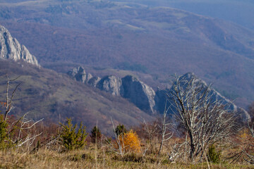 On the Transapusena, Romania