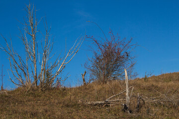 On the Transapusena, Romania