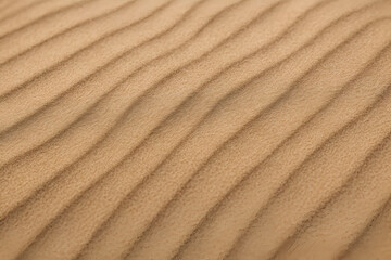 sand ripples background