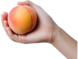 Ripe peach isolated on transparent background, ideal for fruity branding, natural food visuals, and healthy ingredient compositions.